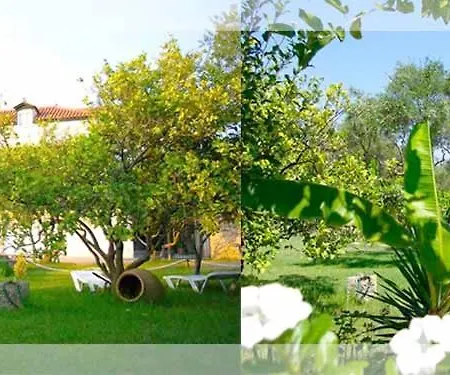 Gerakari Thalassa Apartamento Kypseli